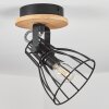Tros Ceiling Light Ecru, black, 1-light source