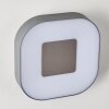 Outdoor Wall Light Feldsted LED silver, 1-light source, Colour changer
