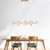 Leuchten Direkt CURLS Pendant Light LED brass, 4-light sources