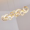 Lavaca Pendant Light LED gold, 4-light sources
