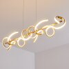 Lavaca Pendant Light LED gold, 4-light sources
