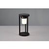 Trio Carmo Solar lights LED black, 1-light source, Motion sensor