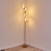 LAVACA Floor Lamp LED gold, 2-light sources