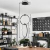 Chlak Pendant Light LED black, 2-light sources, Remote control