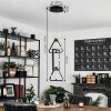 Chlak Pendant Light LED black, 3-light sources, Remote control