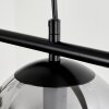 Salamonde Pendant Light black, 4-light sources