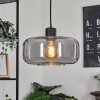 Pedreles Pendant Light black, 1-light source