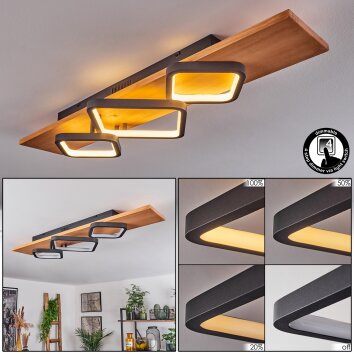 Pompu Ceiling Light LED Ecru, black, 1-light source