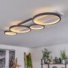 Rodekro Ceiling Light LED black, white, 1-light source