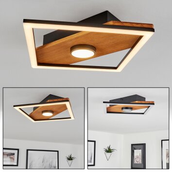 Lomnion Ceiling Light LED Ecru, black, 1-light source