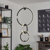 Chlak Pendant Light LED black, 3-light sources, Remote control