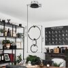 Chlak Pendant Light LED black, 3-light sources, Remote control