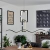 Chlak Pendant Light LED black, 3-light sources, Remote control