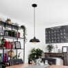 Rognaix Pendant Light black, 1-light source