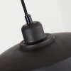 Rognaix Pendant Light black, 1-light source
