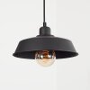 Rognaix Pendant Light black, 1-light source