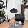 Rognaix Pendant Light black, 1-light source