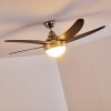Ceiling Fan Morino brown, matt nickel, 2-light sources, Remote control