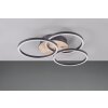 Reality Circle Ceiling Light LED Wood like finish, black, 1-light source, Remote control