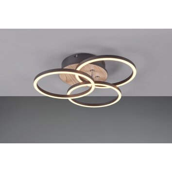 Reality Circle Ceiling Light LED Wood like finish, black, 1-light source, Remote control