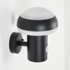 Vinara Outdoor Wall Light LED black, 1-light source, Motion sensor
