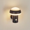 Vinara Outdoor Wall Light LED black, 1-light source, Motion sensor