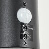 Vinara Outdoor Wall Light LED black, 1-light source, Motion sensor