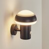 Vinara Outdoor Wall Light LED black, 1-light source, Motion sensor