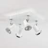 Lanrigan Ceiling Light chrome, white, 4-light sources