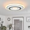 Wawo Ceiling Light LED white, 1-light source, Remote control