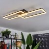 Hyacinthe Ceiling Light LED black, 1-light source, Remote control