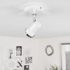 Lanrigan Ceiling Light chrome, white, 1-light source
