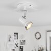 Lanrigan Ceiling Light chrome, white, 1-light source