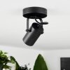 Kergus Ceiling Light black, 1-light source