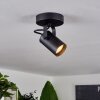 Kergus Ceiling Light black, 1-light source