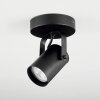 Kergus Ceiling Light black, 1-light source