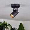 Kergus Ceiling Light black, 1-light source