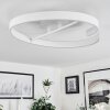 Rosemond Ceiling Light LED white, 1-light source