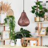 Cassis Pendant Light copper, 1-light source