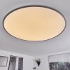 Champa Ceiling Light LED silver, 1-light source, Remote control