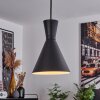 Vijes Pendant Light black, 1-light source