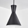 Vijes Pendant Light black, 1-light source