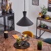 Vijes Pendant Light black, 1-light source