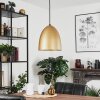 Bakou Pendant Light black, 1-light source