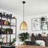 Bakou Pendant Light black, 1-light source