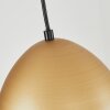 Bakou Pendant Light black, 1-light source