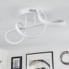 Dauntey Ceiling Light LED white, 1-light source, Remote control