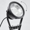 Phniet garden spotlight LED black, 1-light source, Remote control, Colour changer