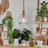 Kenong Pendant Light brass, 1-light source