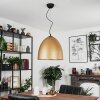 Bakou Pendant Light black, 1-light source